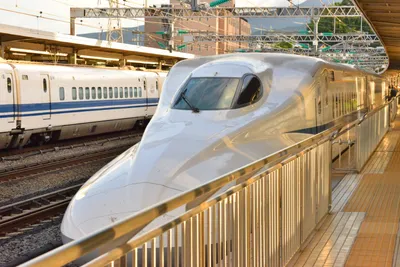 DSC_3788 (Large).JPG